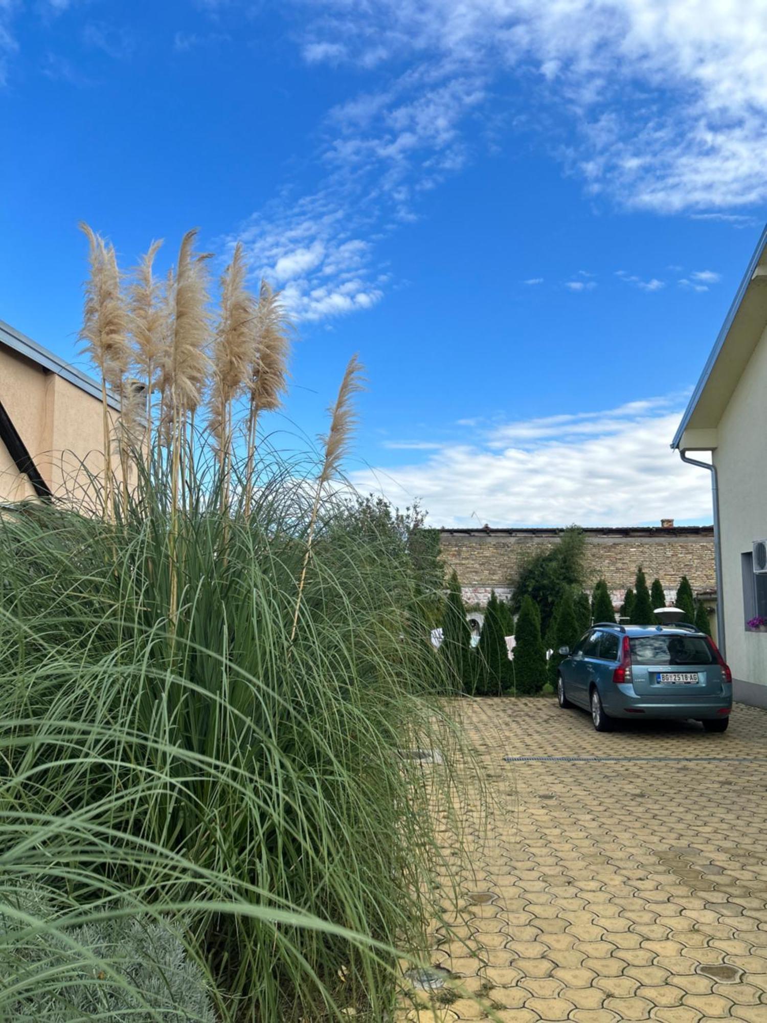 Nest Zen Garden Apartman Újvidék Kültér fotó