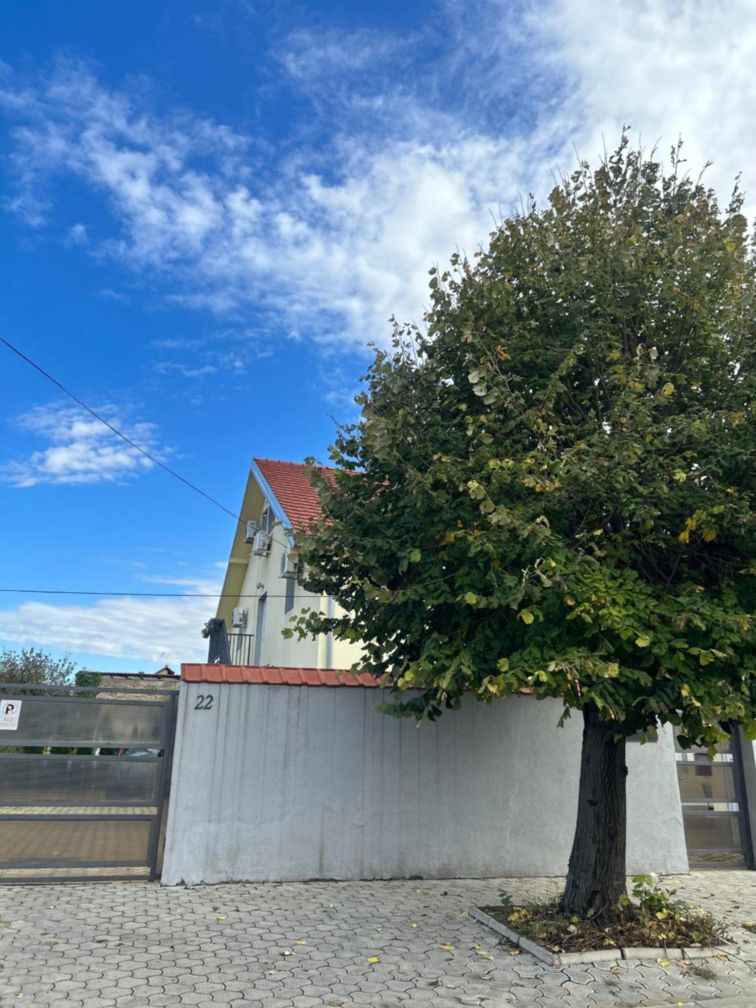 Nest Zen Garden Apartman Újvidék Kültér fotó